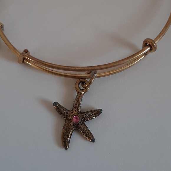 Alex and Ani Charity By Design Gold "Arms of Strength" Starfish Charm Bangle - Picture 4 of 7